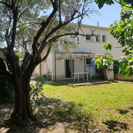 Orteils Au Soleil Jardin Parking Nimes Ngoại thất bức ảnh